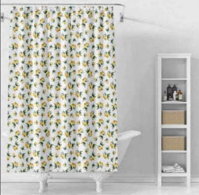 Inexpensive Shower Curtains price